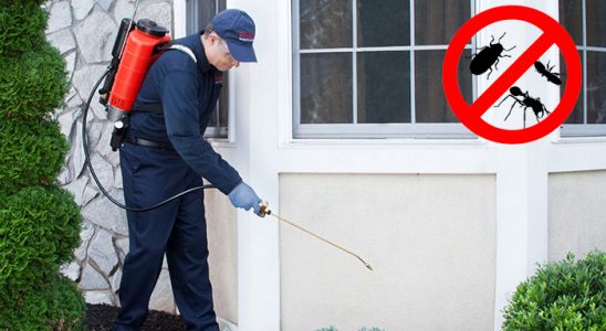 Adapazarı Kene İlaçlama böcek ilaçlama ve haşere kontrolü — ilaclama-tr.com